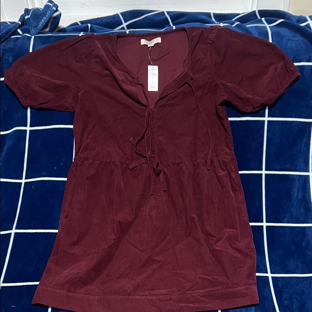 Loft Burgundy dress